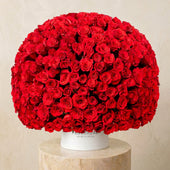 365 Red Roses Hatbox