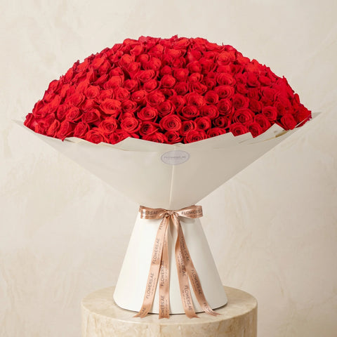 Anniversary 365 Red Roses