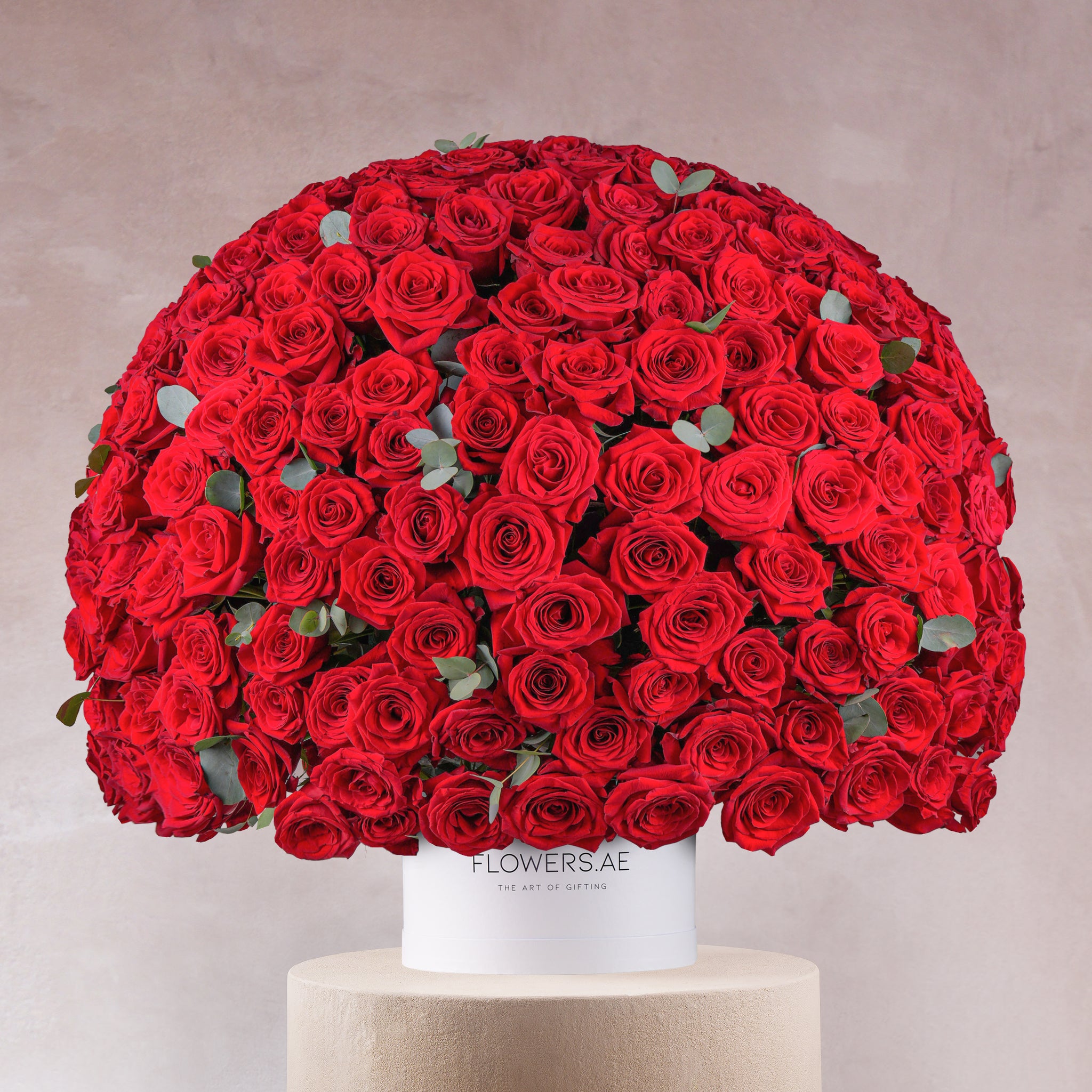 365 Red Roses 365 Red Roses Hatbox - Flowers.ae