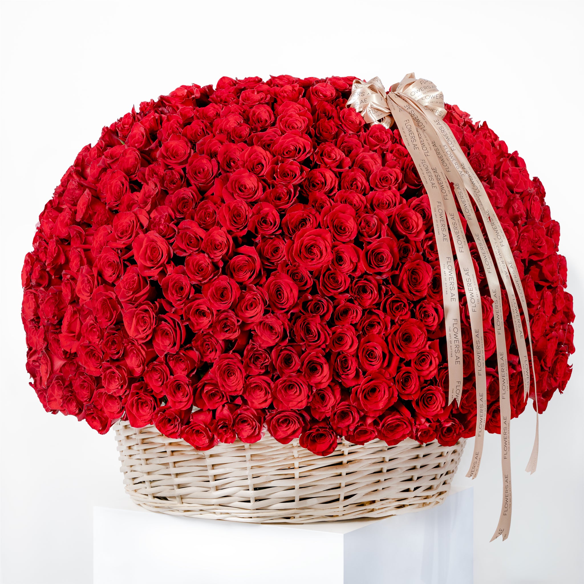 Mooloolaba Reds Roses 500 Red Roses Basket | Free Same-Day Delivery to all Emirates - Flowers.ae