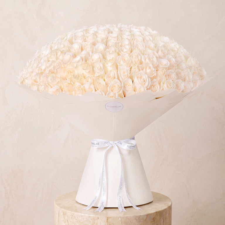 365 White Roses