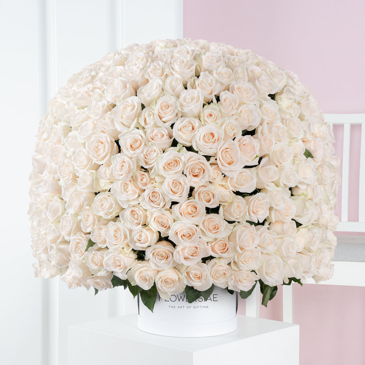 365 White Roses - Hatbox