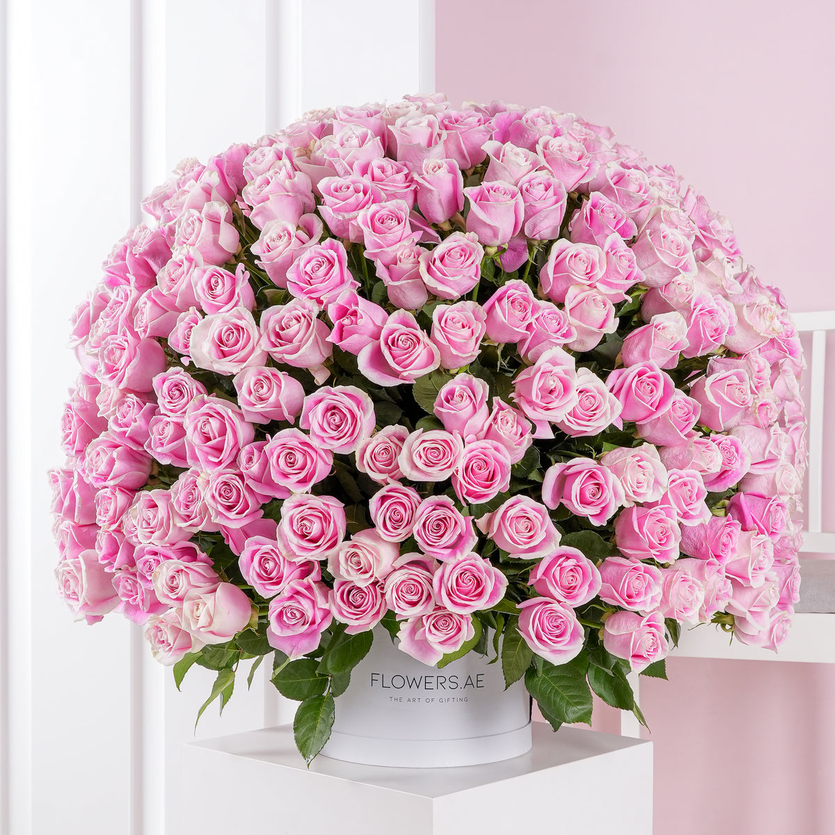 365 Pink Roses - Hatbox