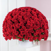 365 Red Roses - Hatbox