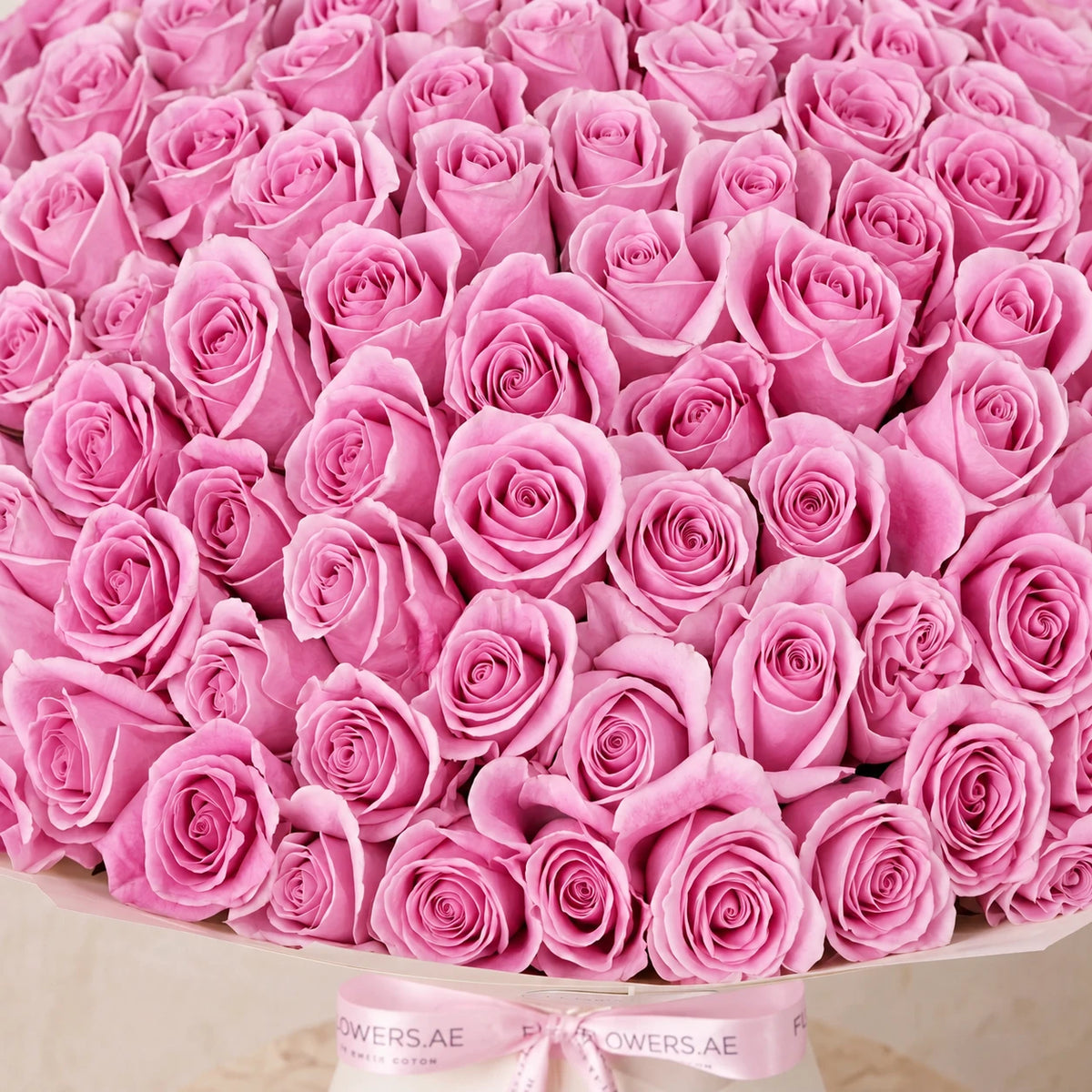365 Pink Roses