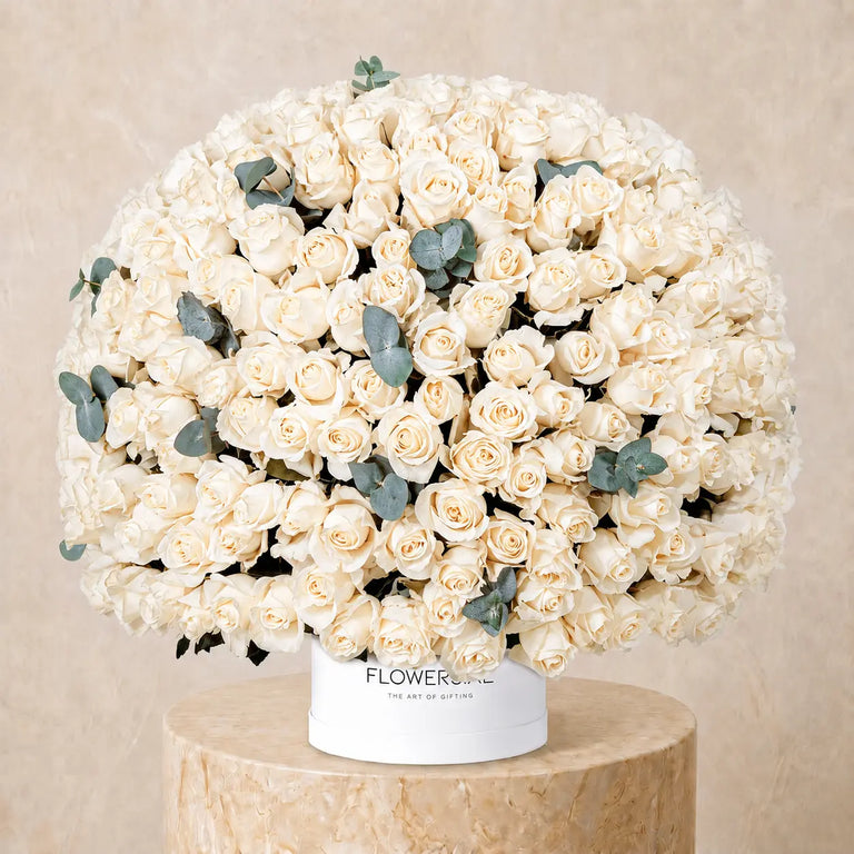 365 White Roses Hatbox
