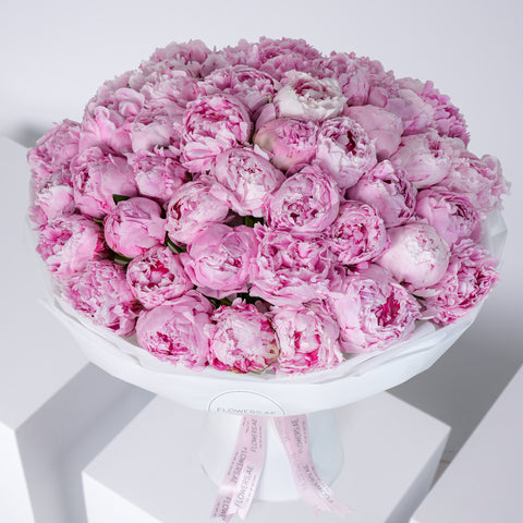 50 Pure Pink Peony