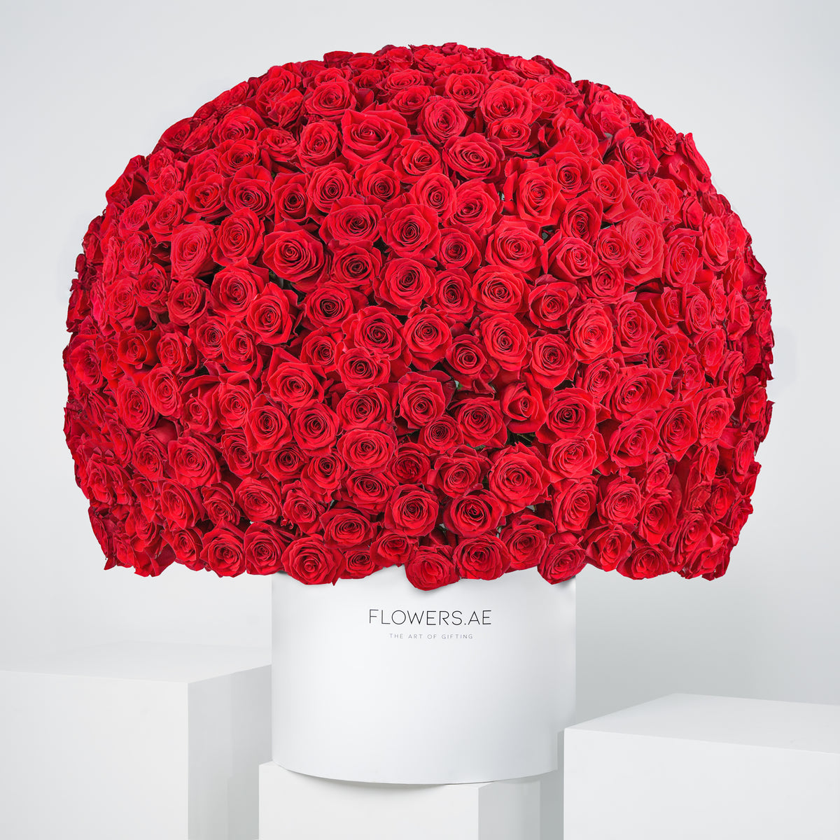 Valentine 500 Red Roses - Hatbox