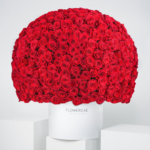 Valentine 500 Red Roses - Hatbox