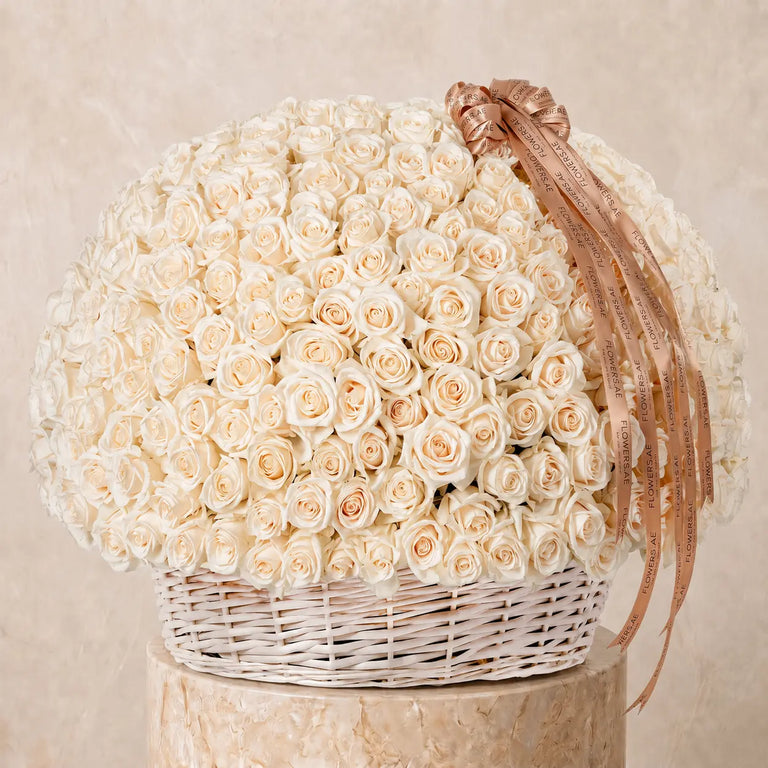 500 White Roses Basket