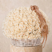 500 White Roses Basket