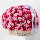 500 Blush Roses Basket