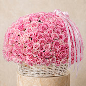 500 Pink Roses Basket