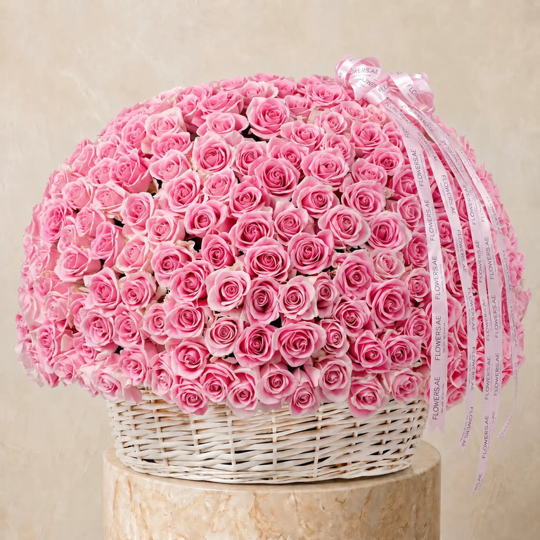 500 Pink Roses Basket