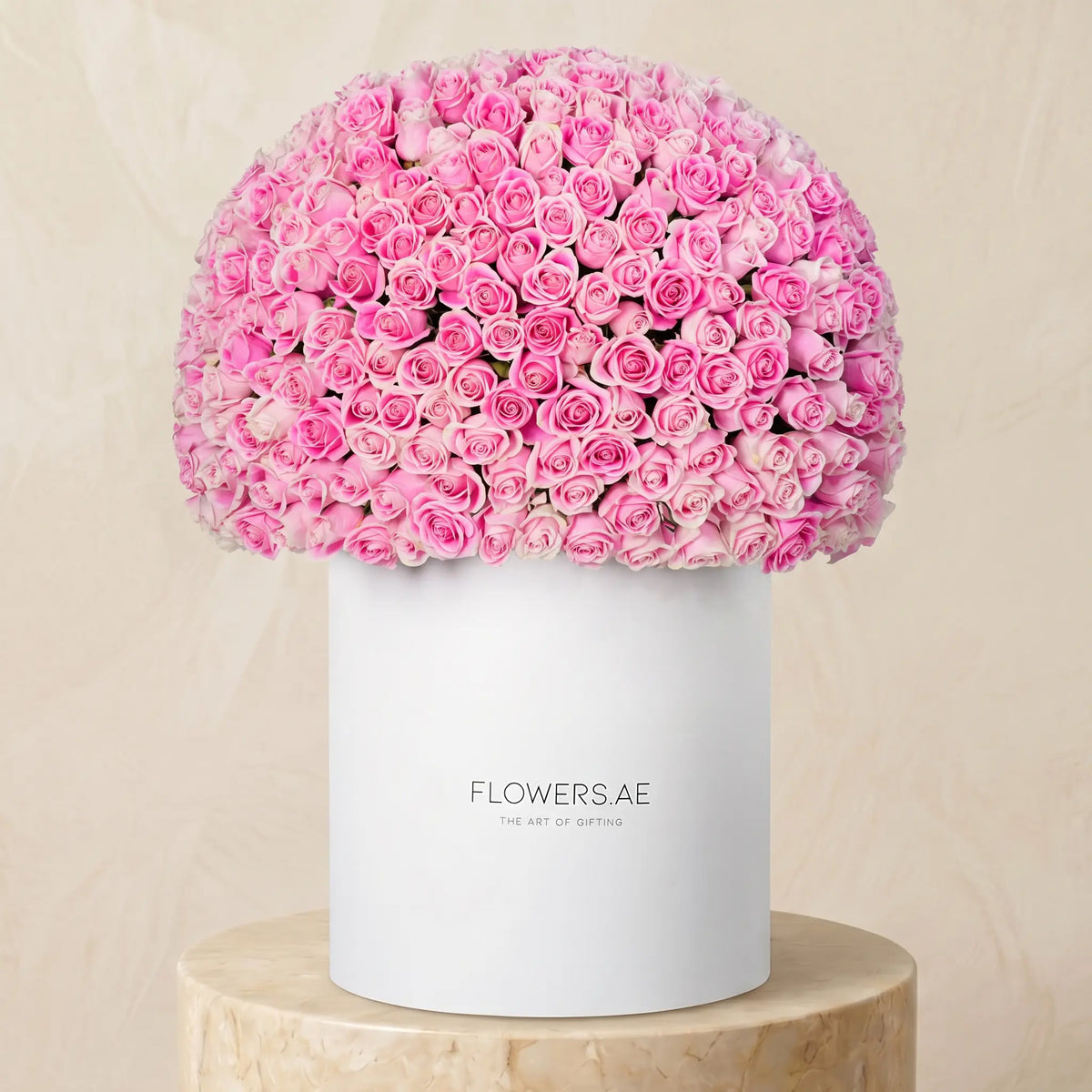 500 Pink Roses XXL