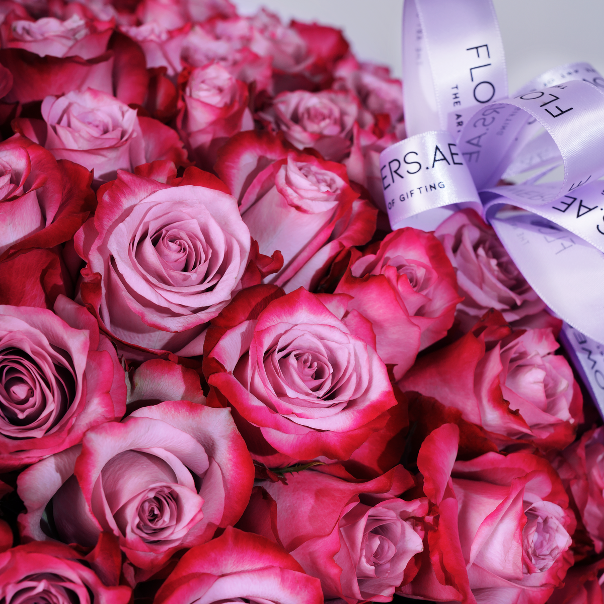 Valentine 500 Purple Roses Basket