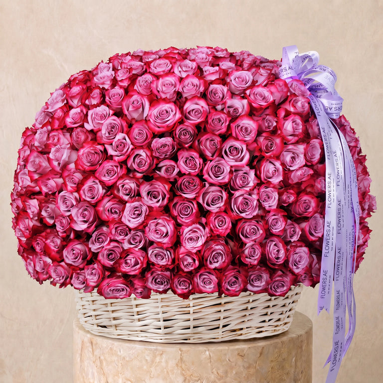 500 Purple Roses Basket