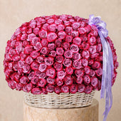 500 Purple Roses Basket