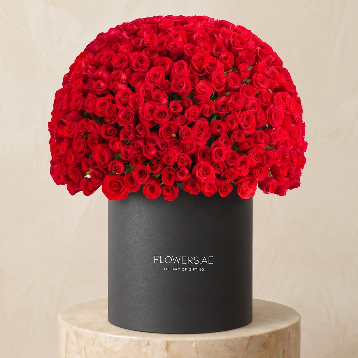 500 Red Roses XXL