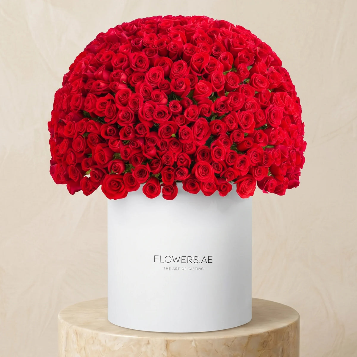 500 Red Roses XXL