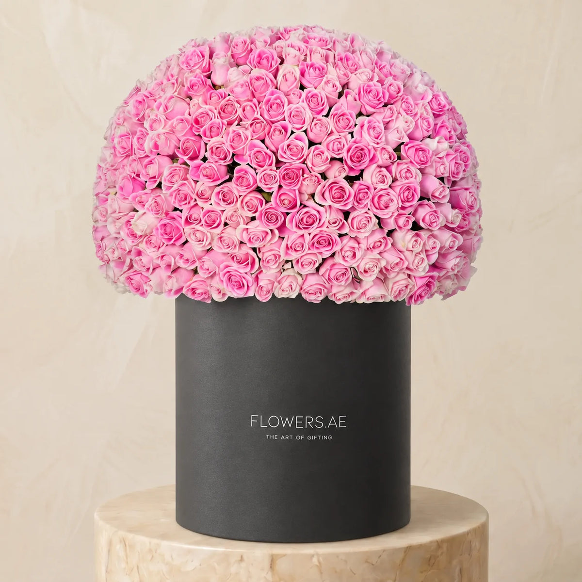 500 Pink Roses XXL
