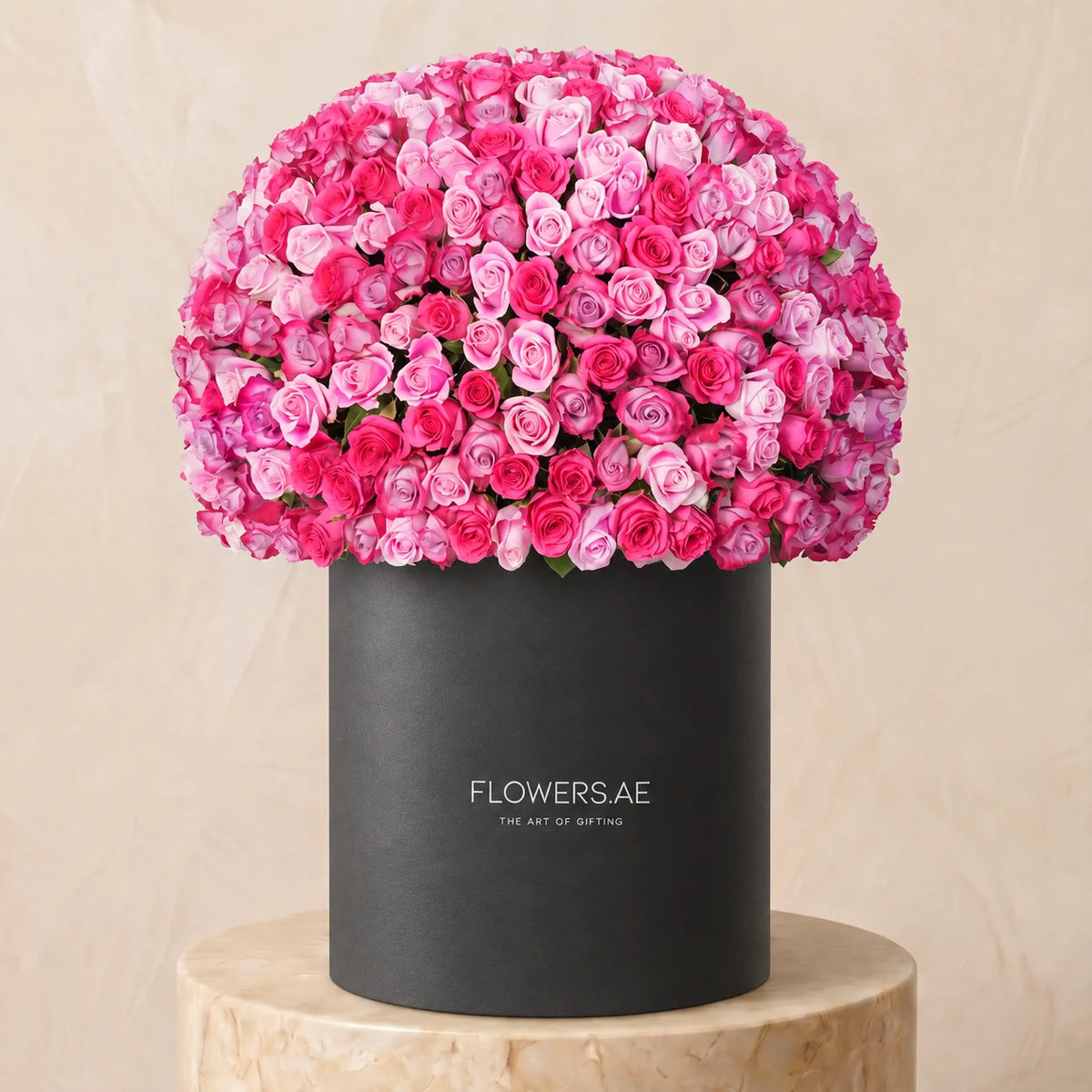 500 Blush Roses XXL