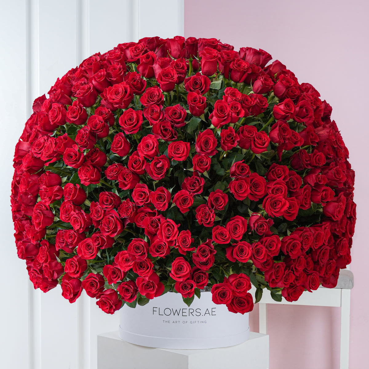 500 Red Roses - XXL | Free Same-Day Delivery to all Emirates - Flowers.ae