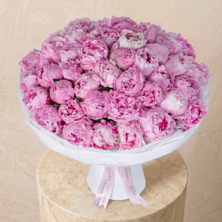 50 Pure Pink Peony
