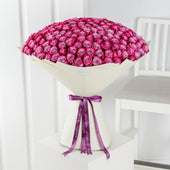 200 Purple Roses