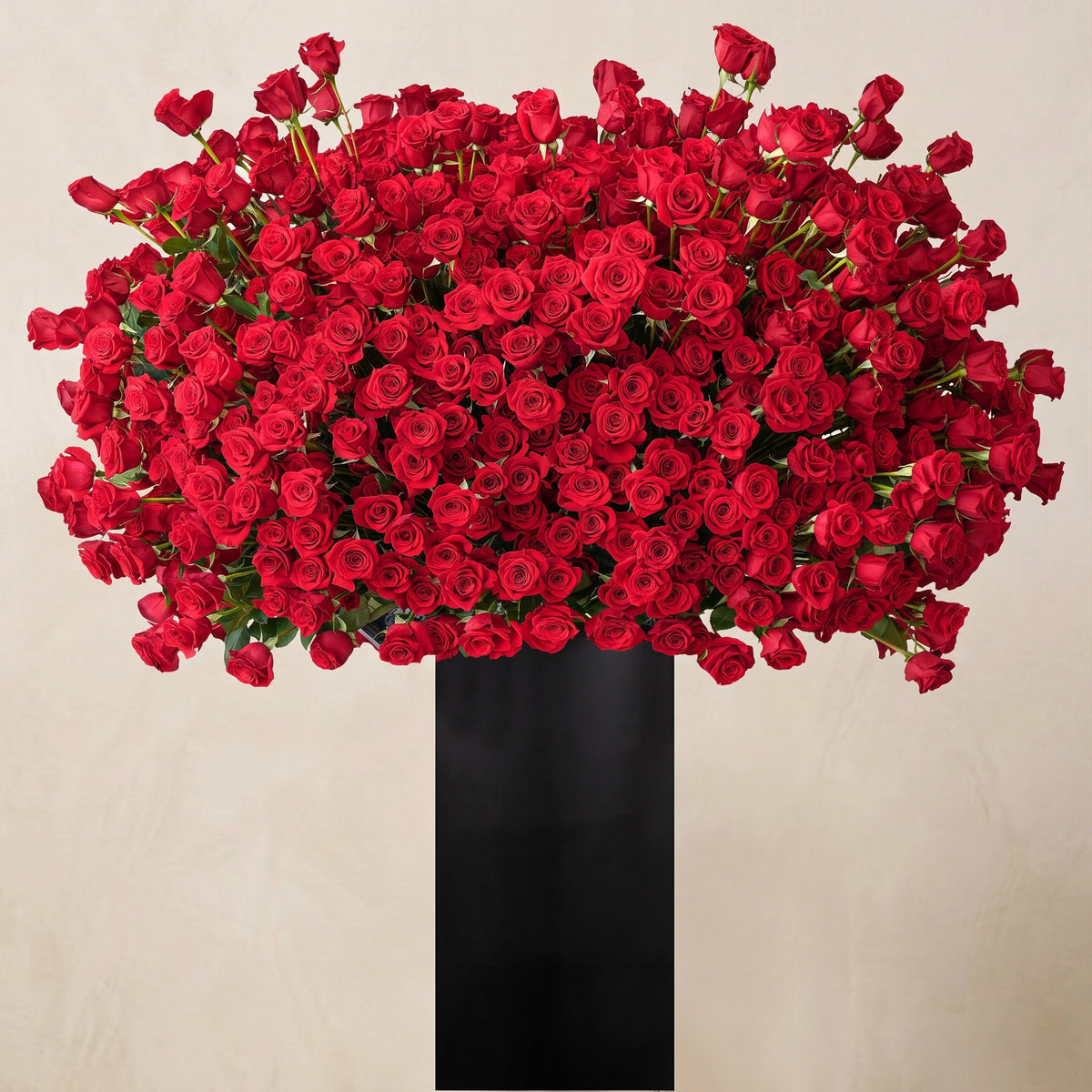 999 Red Roses Stand