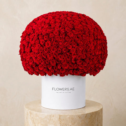 Anniversary 999 Red Roses XXL