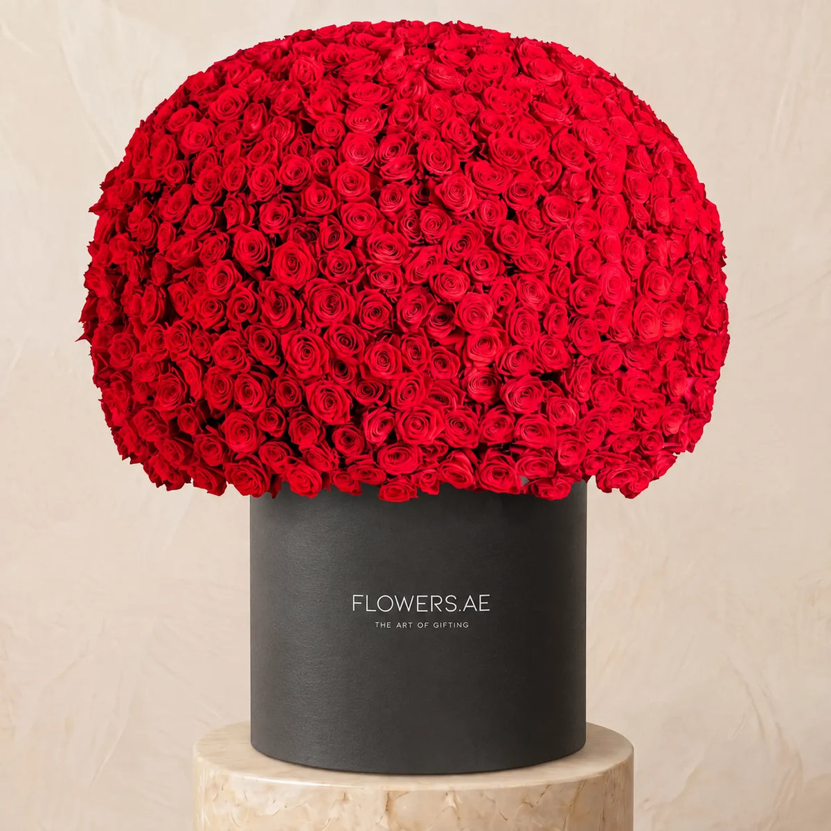 999 Red Roses XXL