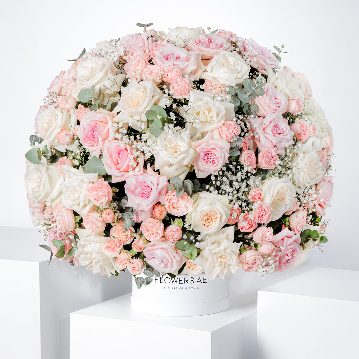 Birthday Adelle Hatbox