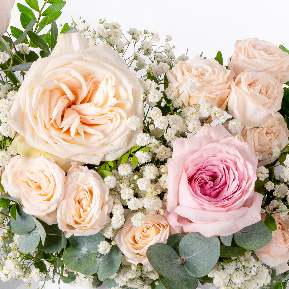 Baby Petite Pastel Hatbox (Gift Set)