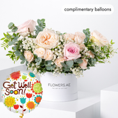 Get Well Petite Adelle Hatbox