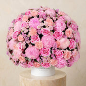 Alissa Hatbox
