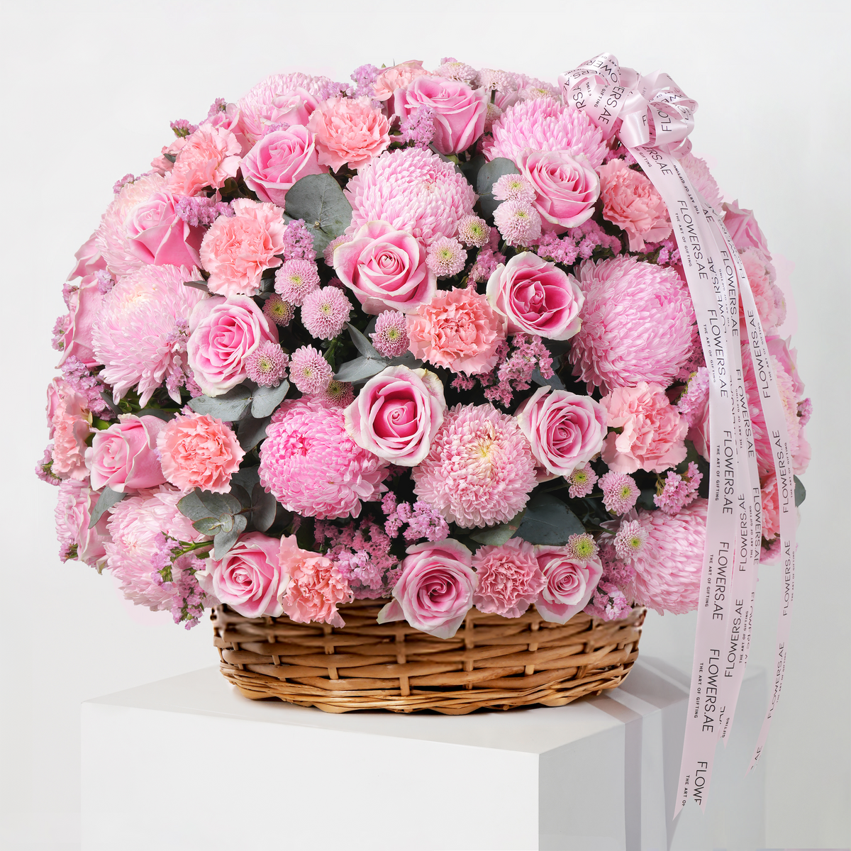 Alissa Basket