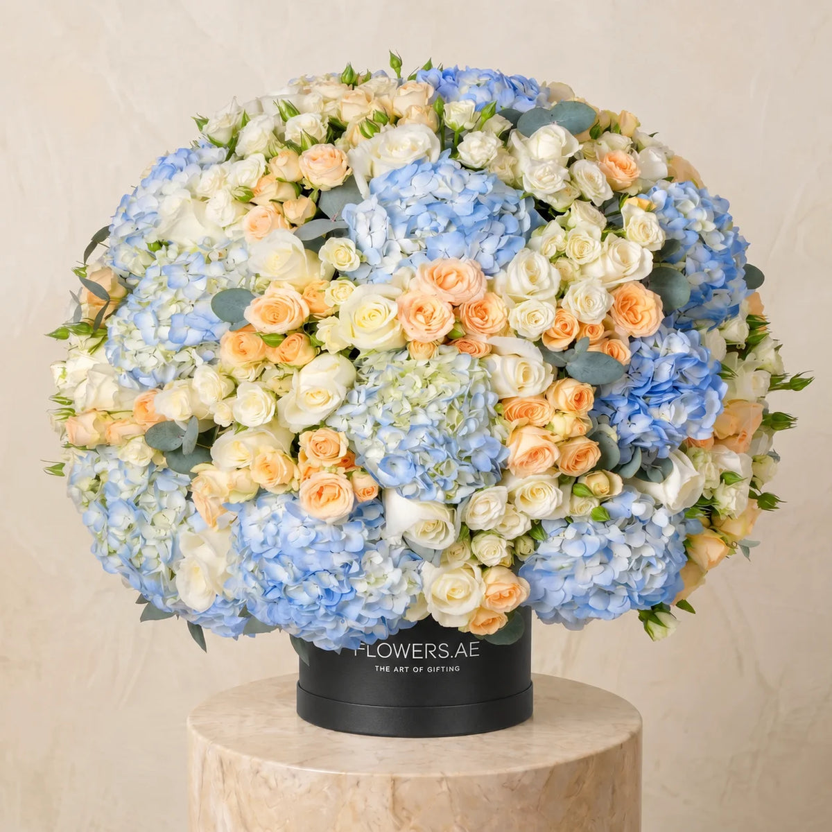 Alva Hatbox