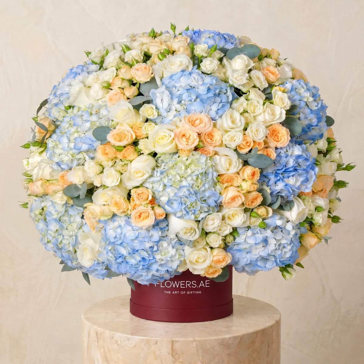 Alva Hatbox