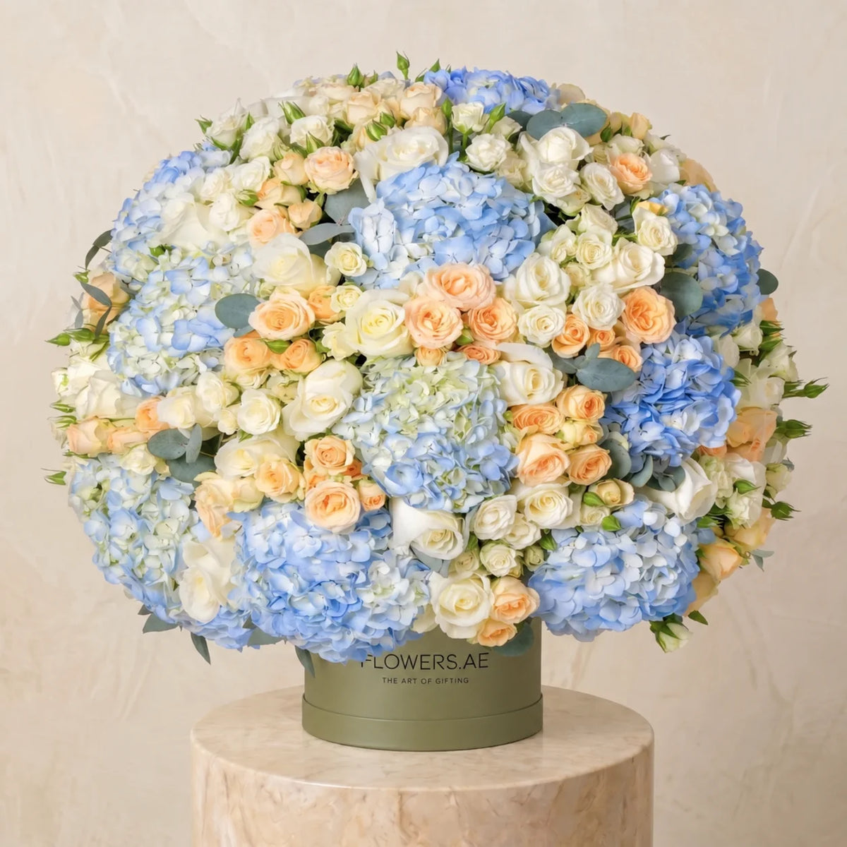 Alva Hatbox
