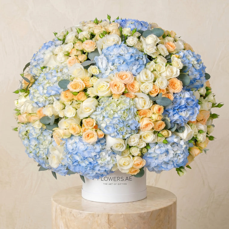 Alva Hatbox