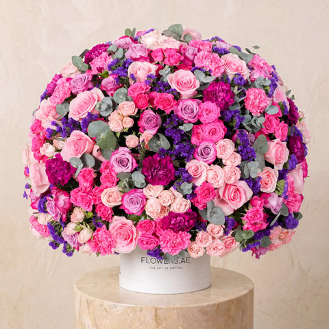 Arianna Hatbox