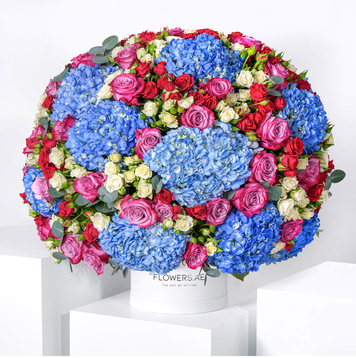 Rowan Hatbox