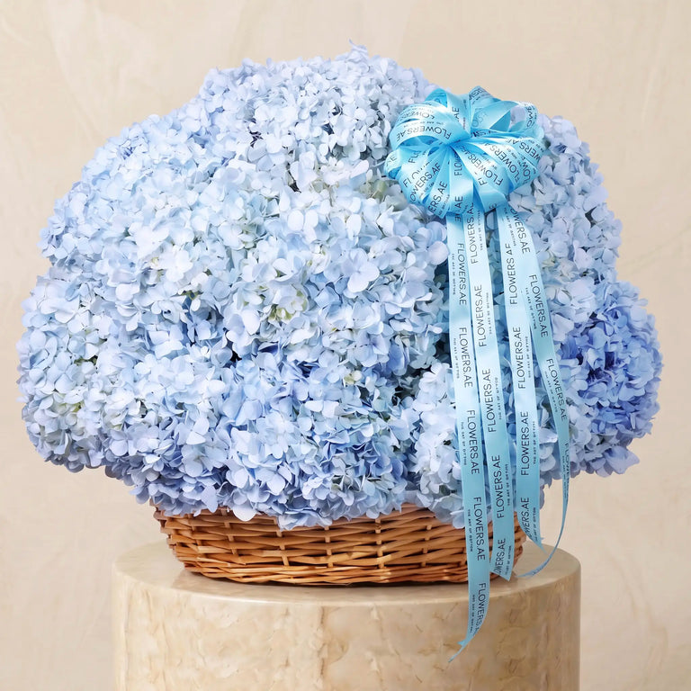 Blue Hydrangea Basket