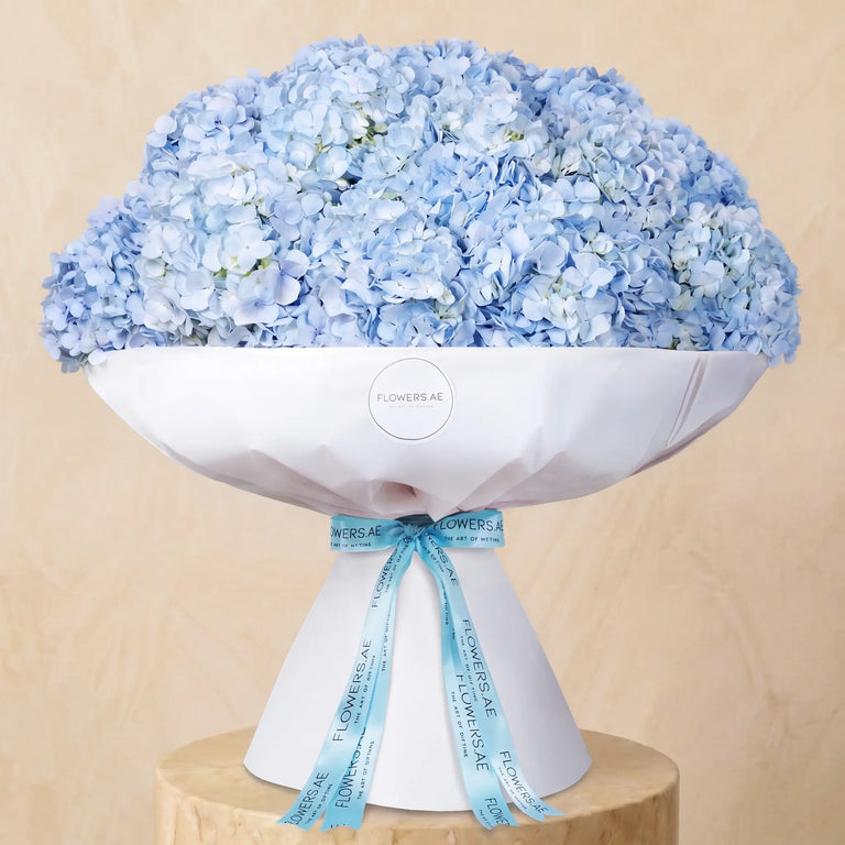 Blue Hydrangea