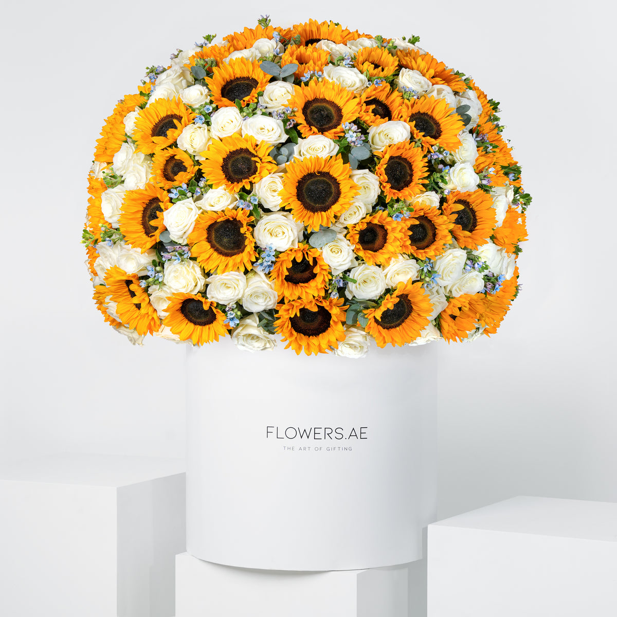 Royale Solenn Hatbox