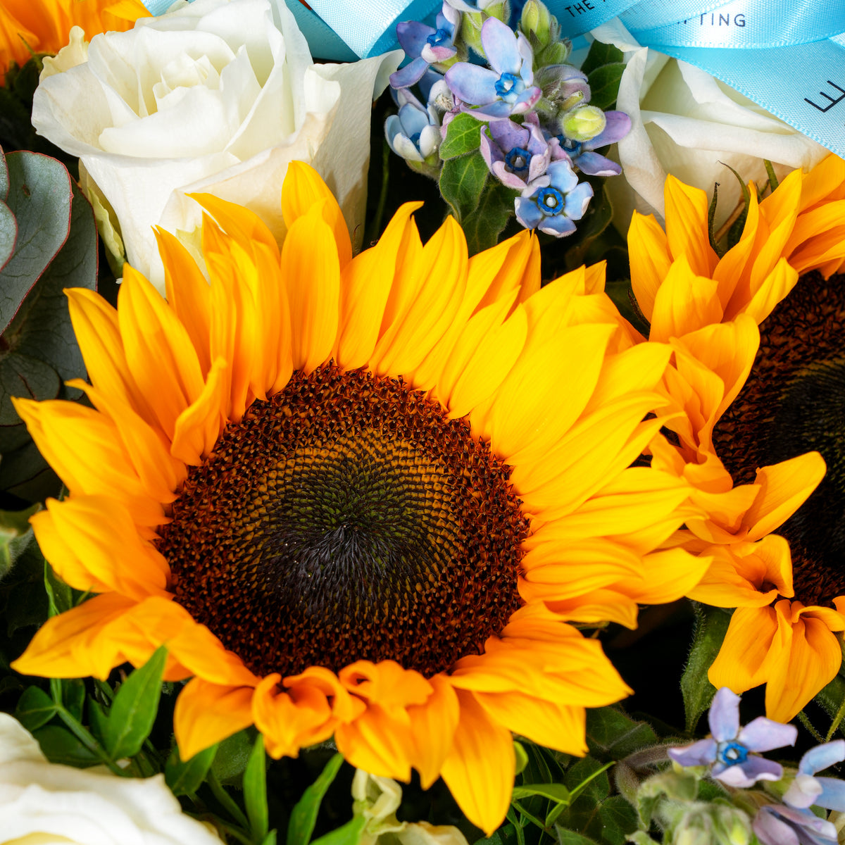 Skylight Glass Vase