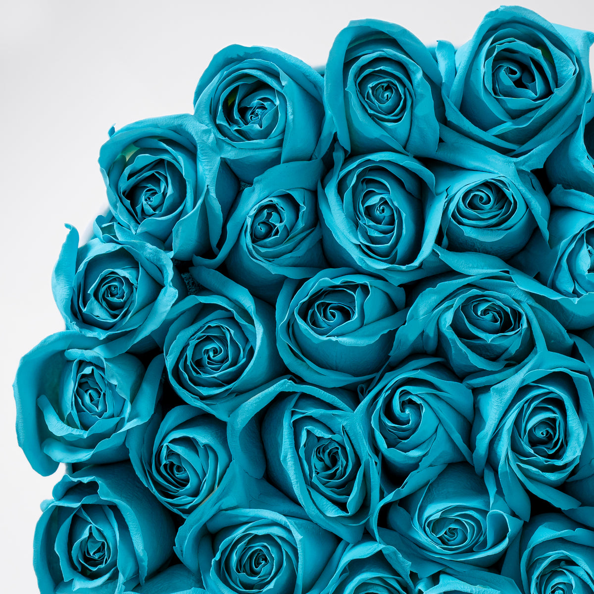 Father's Day Tiffany Blue Roses Hatbox (Gift Set)