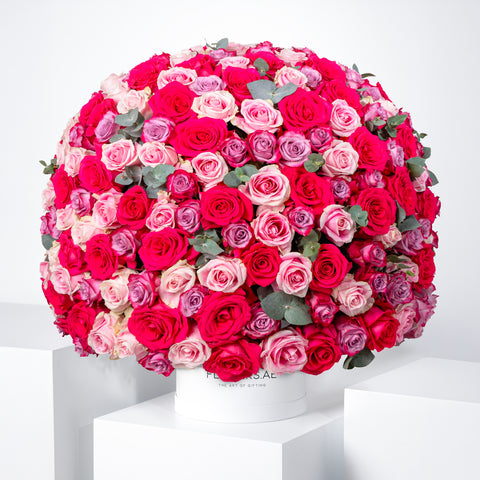 365 Blush Roses Hatbox