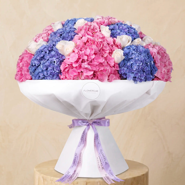 Blush Hydrangea